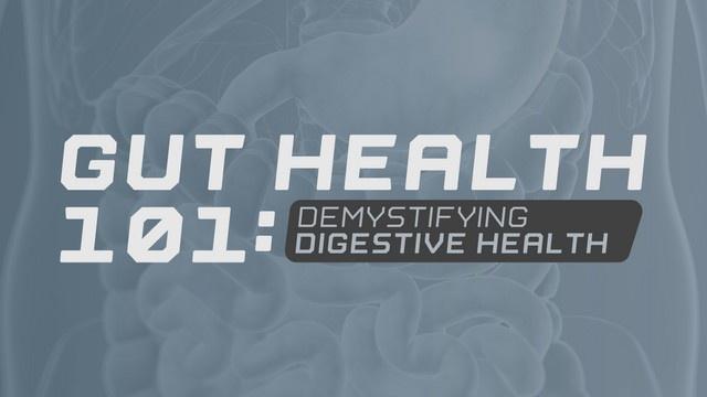 Gut Health 101: Demystifying Digestion